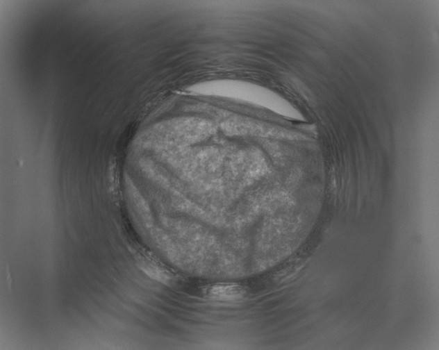 X0000075380173200610061848