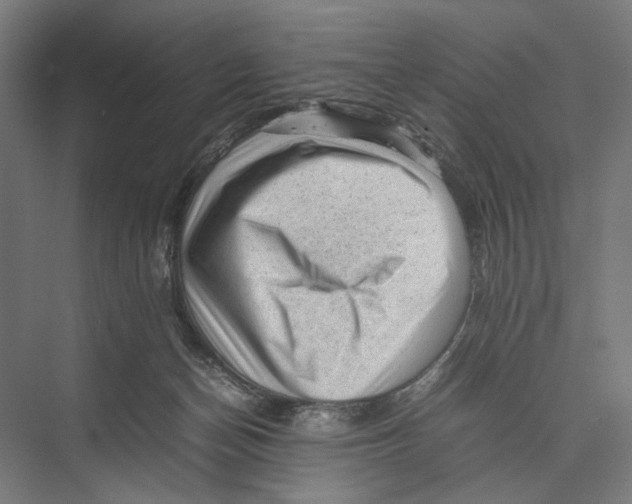 X0000075380174200610061848