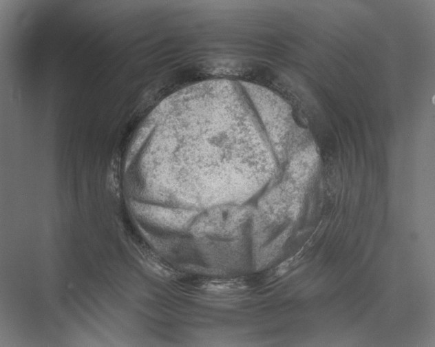 X0000075380175200610061848