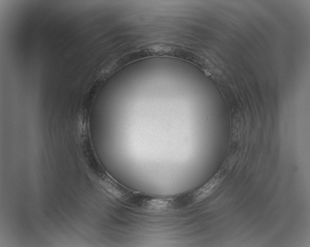 X0000075380176200610061848