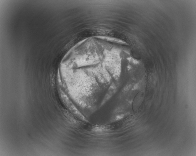 X0000075380177200610061848