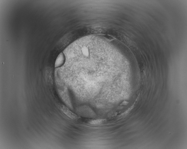 X0000075380178200610061848