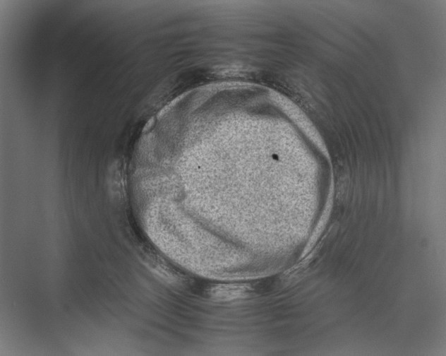 X0000075380179200610061848