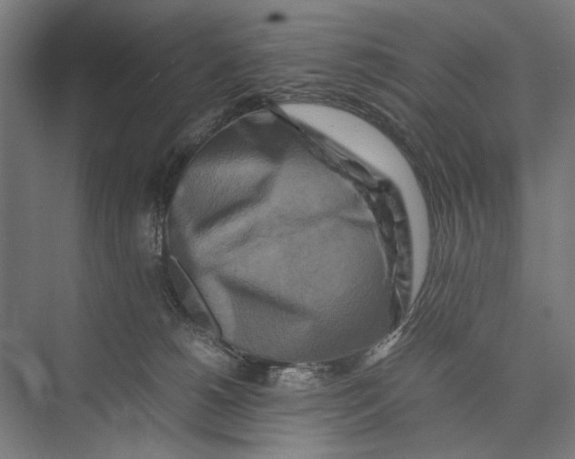 X0000075380180200610061848