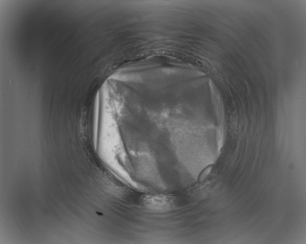 X0000075380181200610061848