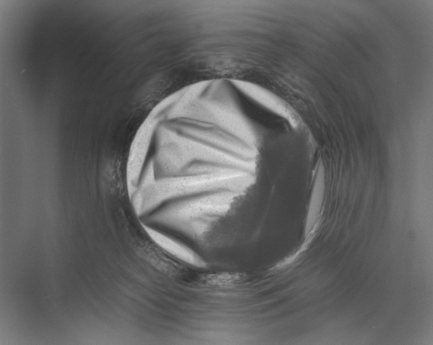 X0000075380182200610061848