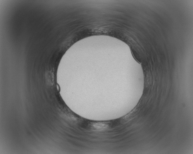 X0000075380183200610061848