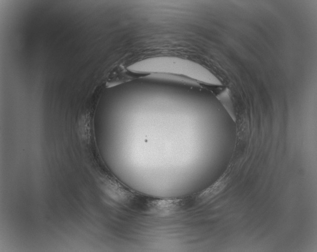 X0000075380184200610061848