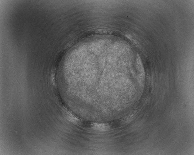 X0000075380185200610061848