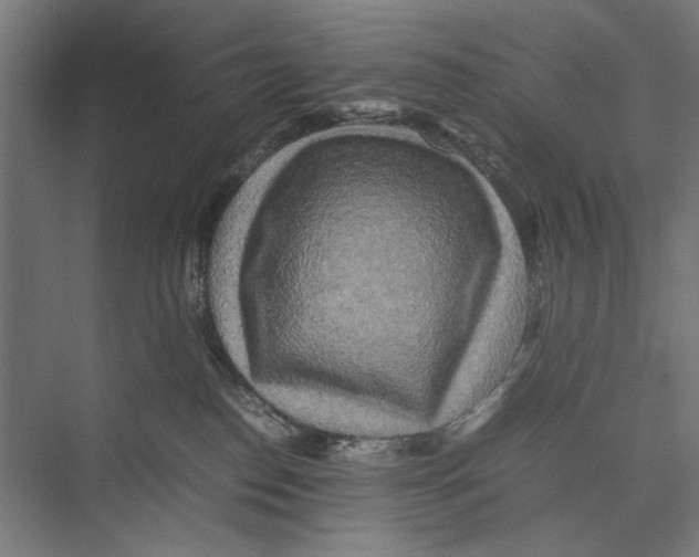 X0000075380186200610061848