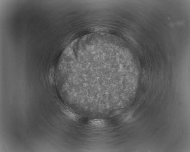 X0000075380189200610061848