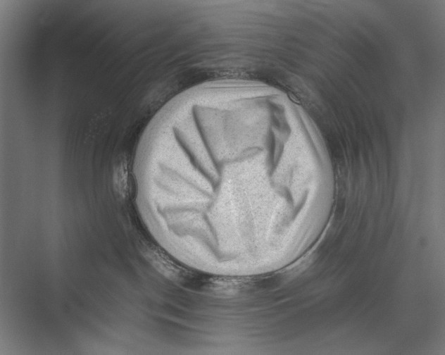 X0000075380190200610061848