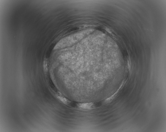 X0000075380191200610061848