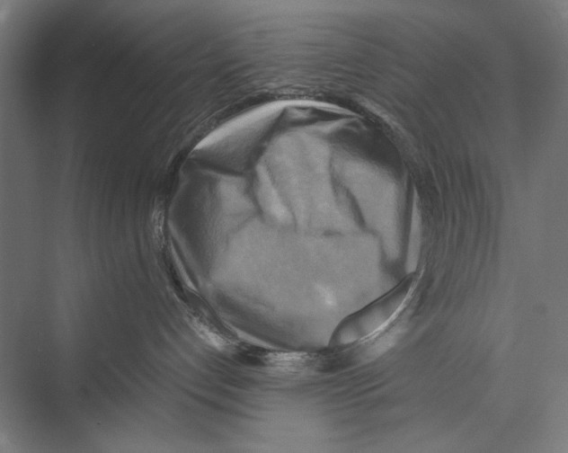 X0000075380192200610061848