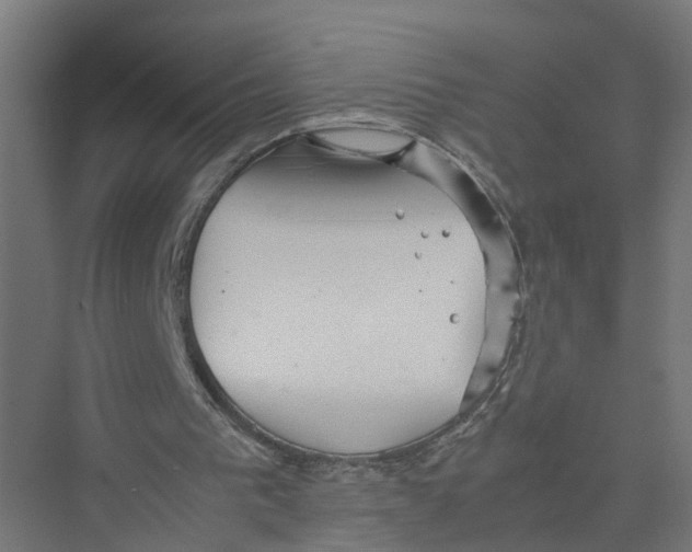 X0000075380193200610061847