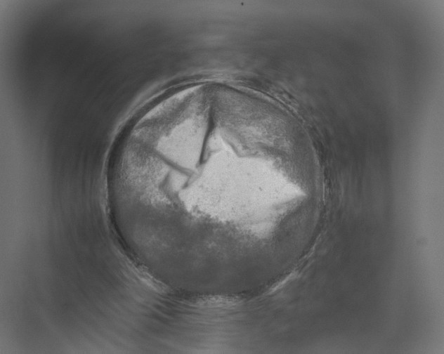 X0000075380198200610061847