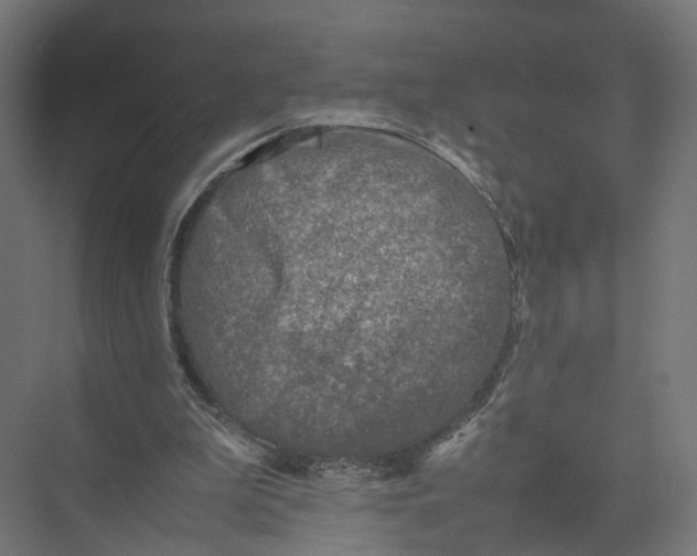 X0000075380199200610061847