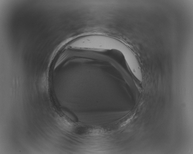 X0000075380200200610061847