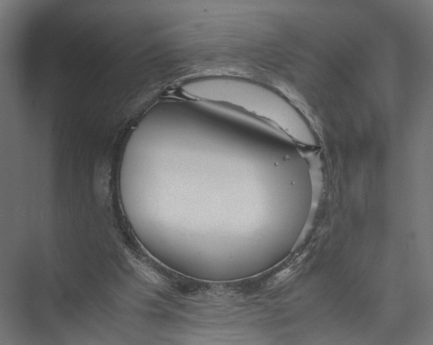 X0000075380201200610061847