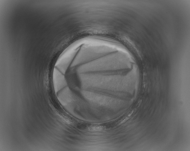 X0000075380202200610061847