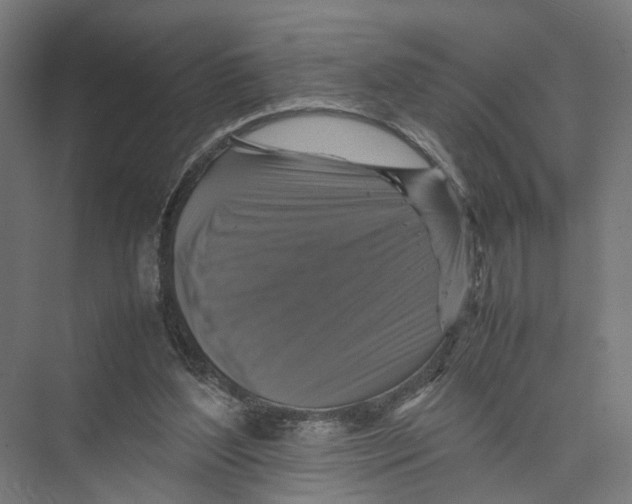 X0000075380204200610061847