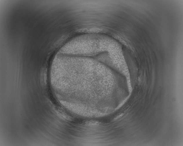 X0000075380206200610061847