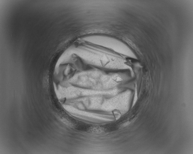 X0000075380207200610061847