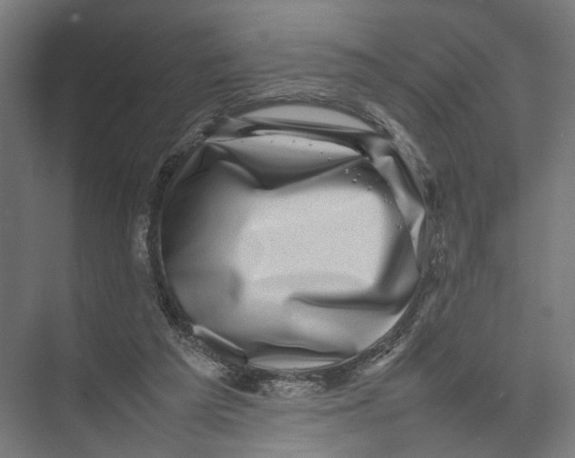 X0000075380209200610061847