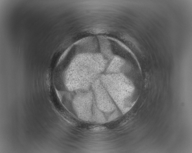 X0000075380210200610061847