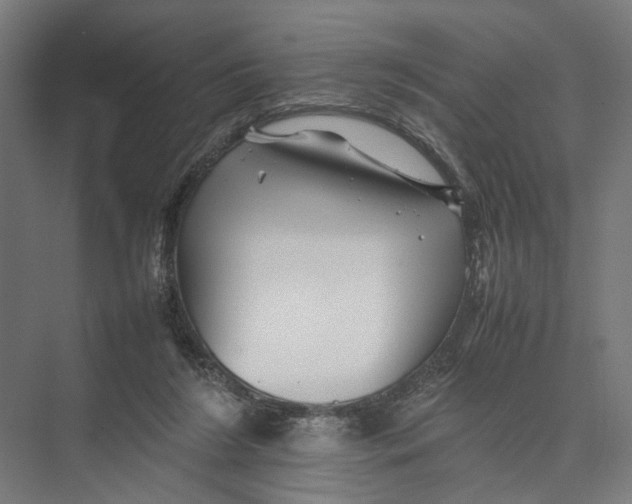 X0000075380212200610061847