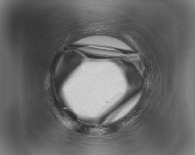 X0000075380213200610061847