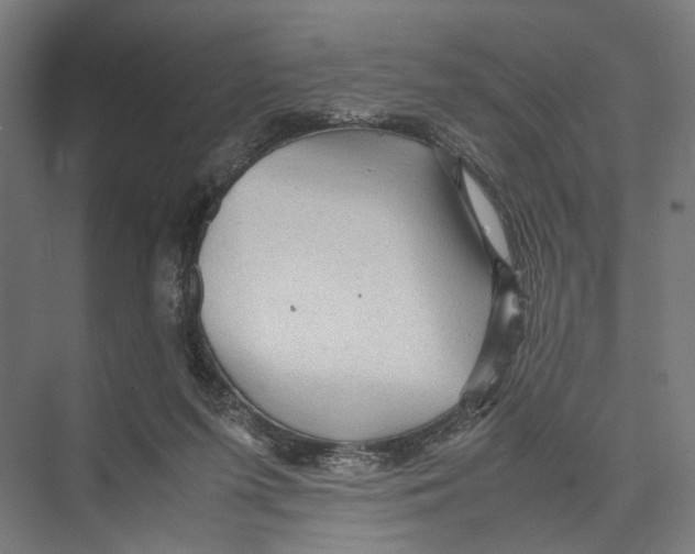 X0000075380215200610061847