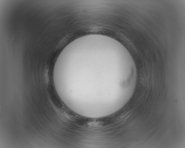 X0000075380216200610061847