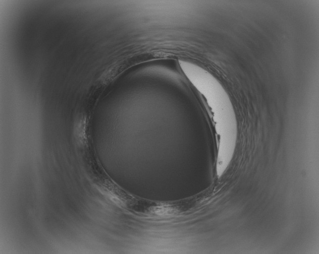 X0000075380219200610061847