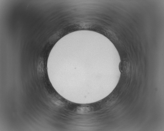 X0000075380220200610061847