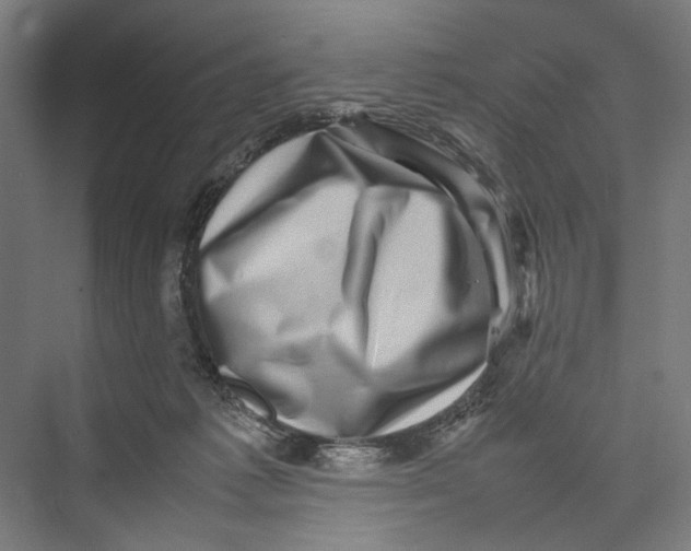 X0000075380221200610061847