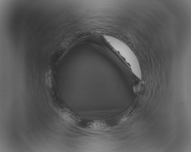 X0000075380223200610061847