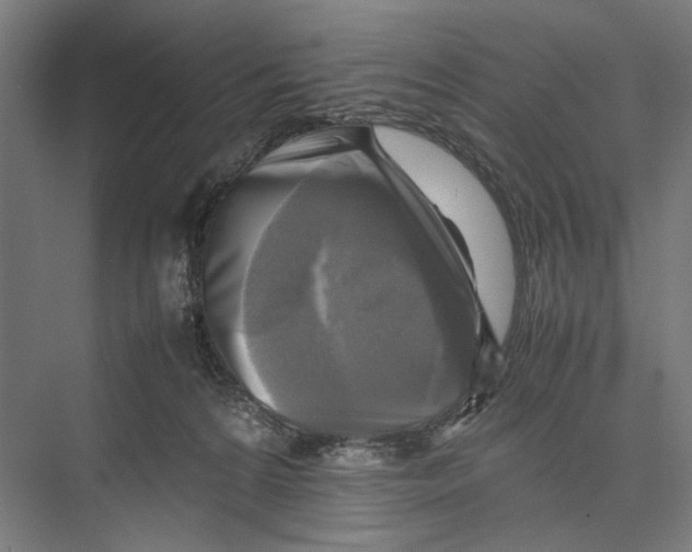 X0000075380224200610061847