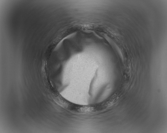 X0000075380225200610061847