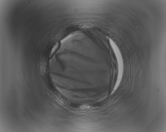 X0000075380227200610061847