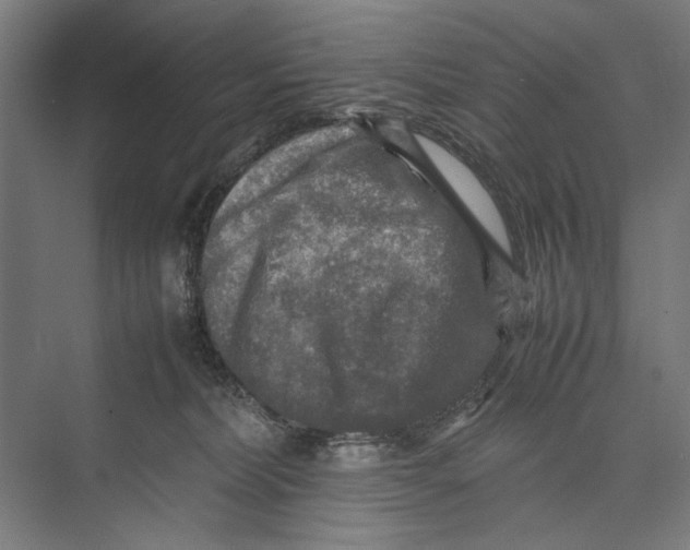 X0000075380228200610061847