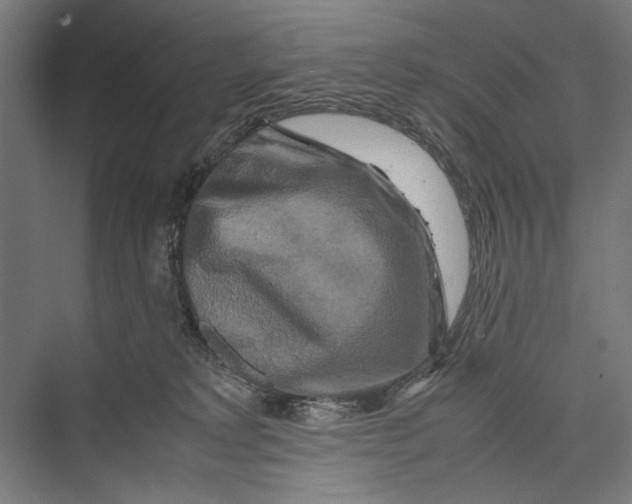 X0000075380229200610061847