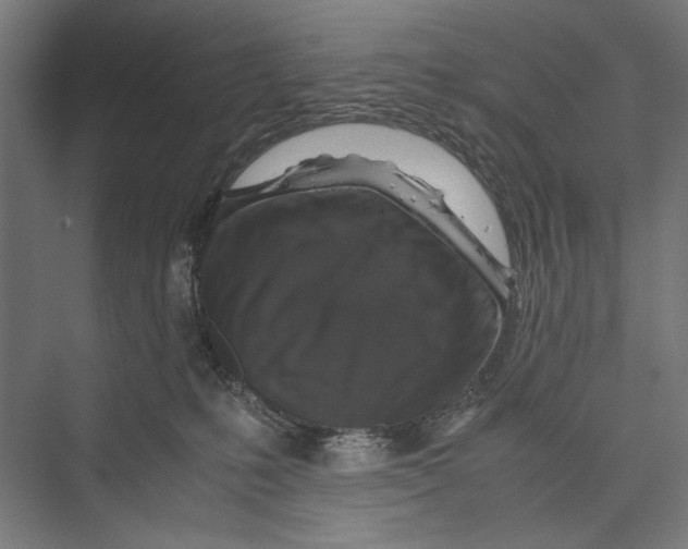 X0000075380231200610061847