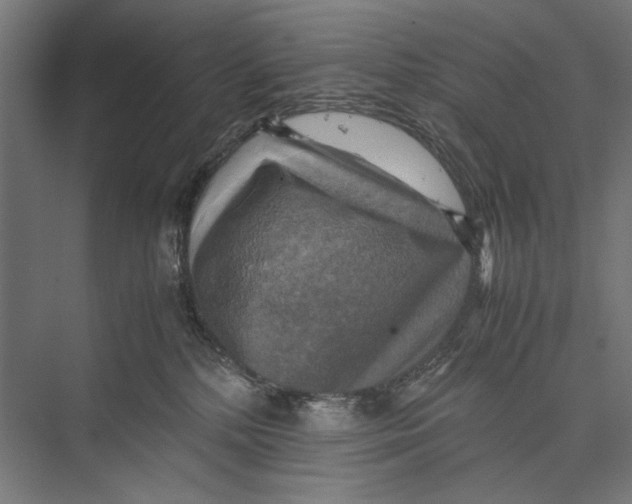 X0000075380232200610061847