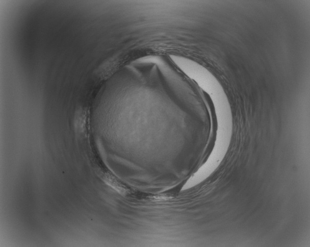 X0000075380233200610061847