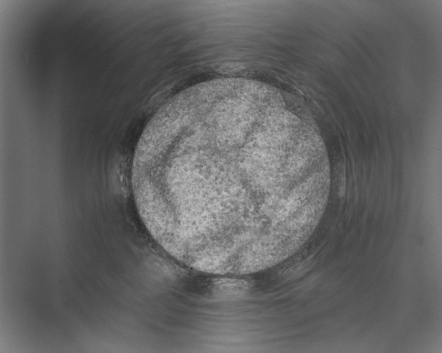 X0000075380234200610061847