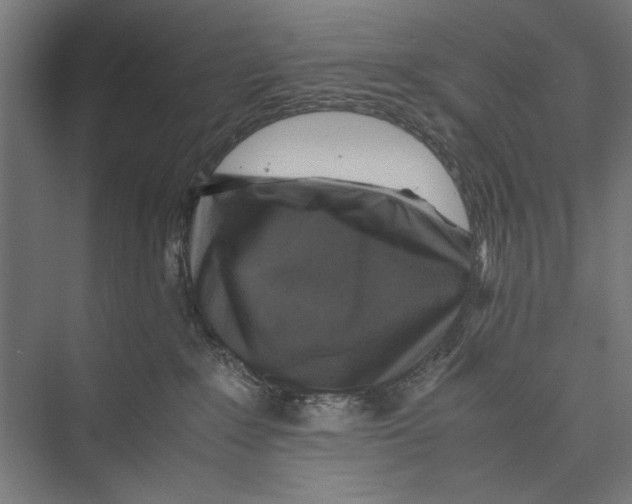 X0000075380235200610061847