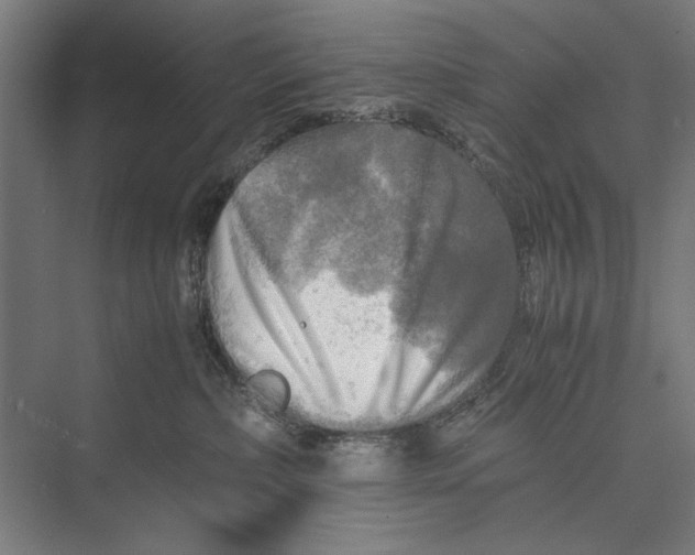 X0000075380236200610061847