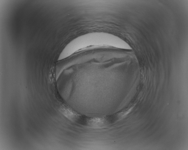 X0000075380237200610061847