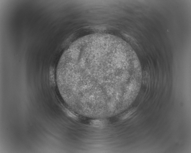 X0000075380238200610061847